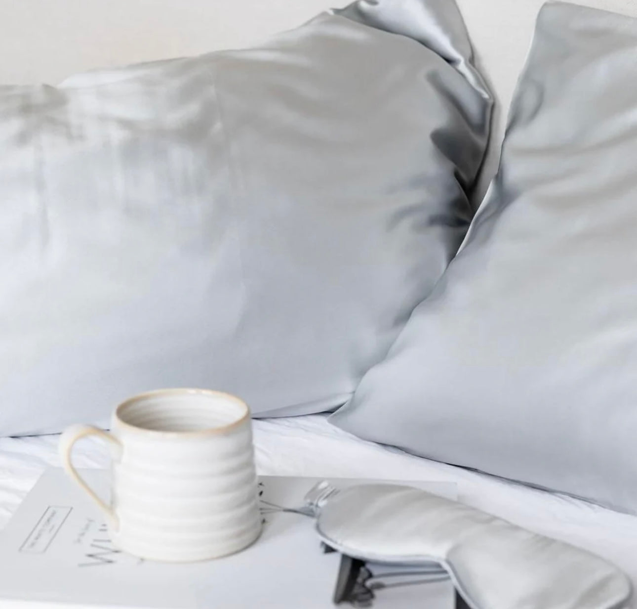 2 Fundas de Almohada de 100% Seda - Silk & Pepper